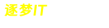 逐梦IT